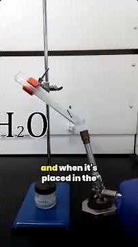 DEMONSTRATION Decomposition of Sodium Bisulfite REVISED