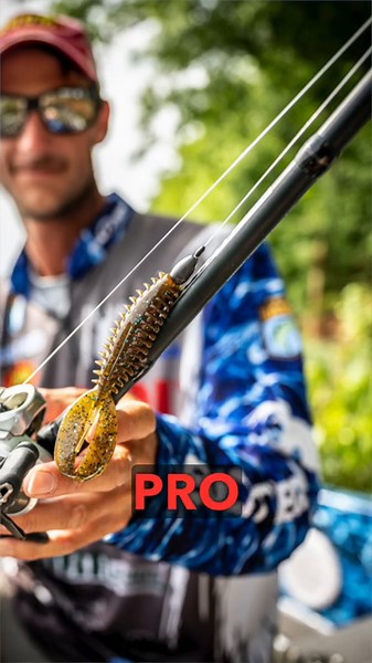 Lure Color Selection for Bass Fishing Success