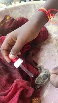 എണി 1, എണ്ണാൻ