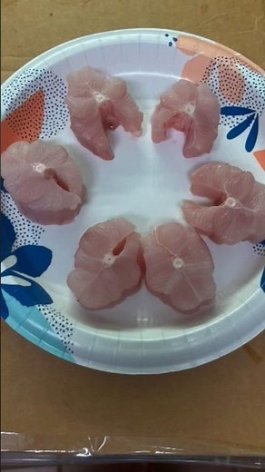 Shark Steaks Catch and Cook #sharks #fishing