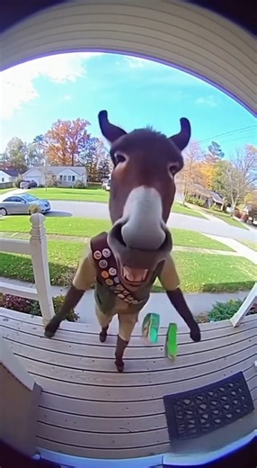 AI Donkey Has a Tantrum! (Angry Reaction) #shorts