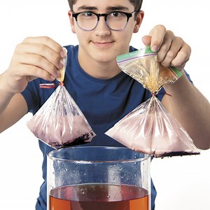 Expérience : une barrière infranchissable ? - Les Débrouillards