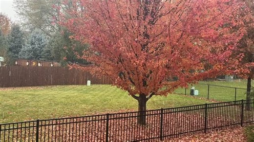 It is snowish-ing. (Tried to make up a word to describe this rain/snow stuff that’s falling.) | Dave Price