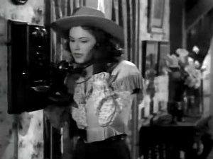 Zorro's Black Whip: Chapter 12 - Trial of Tyranny