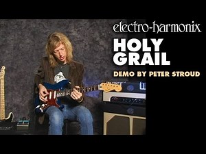 Electro-Harmonix Holy Grail Reverb Pedal (Demo by Peter Stroud)