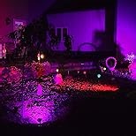 Solar Spot Lights Outdoor, 21 LEDs Solar Outdoor Lights Auto On/Off with 3 Modes, IP67 Waterproof Yard Spotlight Landscape Lighting Garden Wall Lights, 2-in-1 Solar Powered Lights, 2Pack