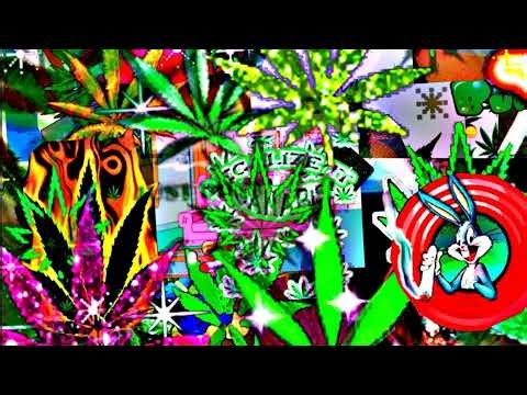 DCP LIVE BUILDING & WHATEVER MINECRAFT