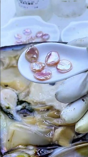 natural and organic freshwater mussel farming, unique pearl colour types and their value #jewellery