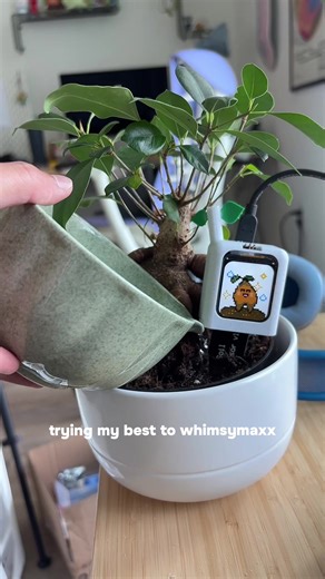 DIY Electronics for Whimsical Creations