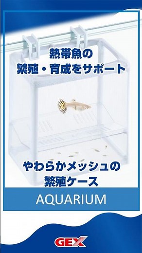 【はじめての繁殖・稚魚育成に】親魚と稚魚のスペースを分けられ、柔らかメッシュで魚にやさしい繁殖ケース「やわらかメッシュの繁殖ケース」