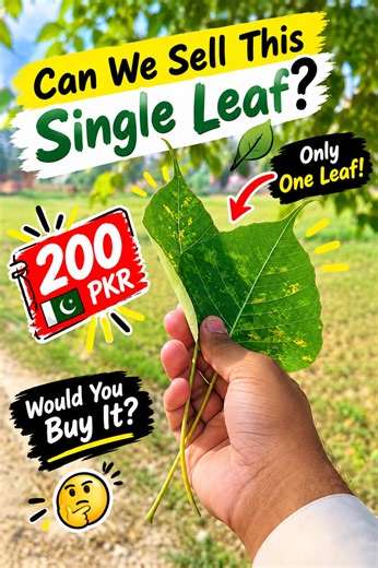 21-Day Calligraphy Challenge: Can I Sell This Leaf for 200 Rupees? 😳✨