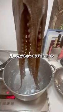 ただただ1.5kgのタコを丸茹でしていく！！#釣り #タコ釣り #料理