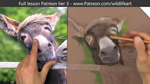 16K views · 599 reactions | for those that want to see how easy it is to do an underlayer using PanPastels and pastel pencils - I just put a new free video up - #panpastel #panpasteldrawing | Jason Morgan Wildlife Art | Facebook