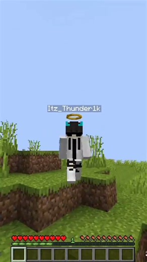 The Best Minecraft Server Hosting for Java, PE, 24/7 Online With No Lag #itsmeissie #minecraft