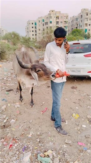 😭Cow was eating garbage… my heart broke after seeing this #hareshhelpvlog #humanity #respect #ani...