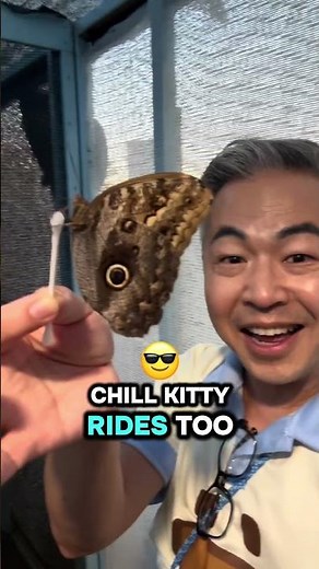 “You NEED to See What’s at the Orange County Fair This Year”