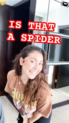 Another Spider Filter Prank 😂 Try Not to Laugh Challenge #spiderprank #funny #shorts