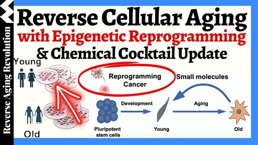 Reverse Aging : Small Molecule Cocktail & Epigenetic Reprogramming | Dr David Sinclair – Lifeboat News: The Blog