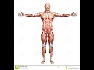 Spore - Best human creation!