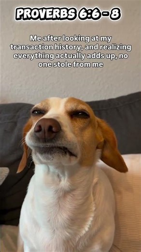 Go to the ant, you sluggard; consider its ways and be wise!