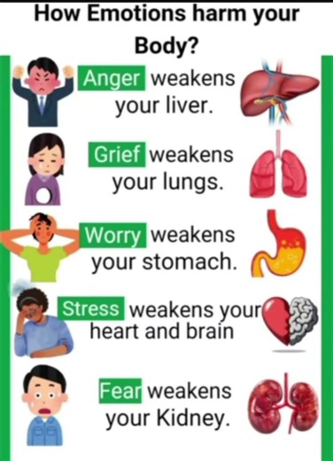 benefits of eating oranges daily #motivation #healthyliving