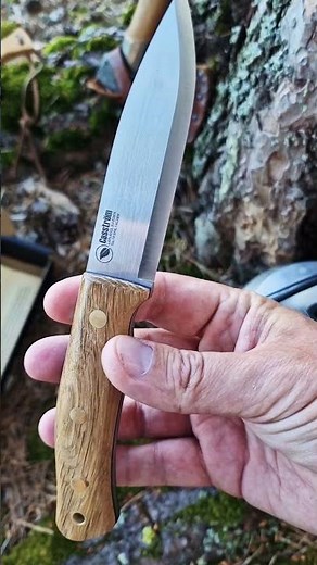 Is this the best Bushcraft Knife out there? Casström Swedish Forest Knife No.10 with oak handle.