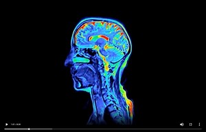 ‘I’m an AI influencer – can you tell?’