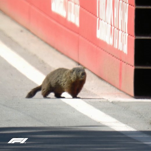 Nicholas Latifi had a close call with one of his fellow countrymen in FP1 😅 | F1