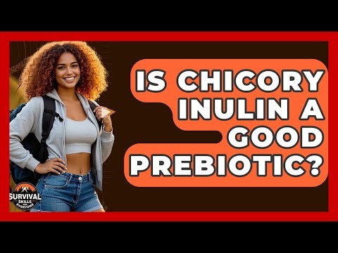 Is Chicory Inulin A Good Prebiotic? - Survival Skills for Everyone