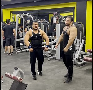 Ultimate Bodybuilding Poses by Muscular Gym Enthusiasts