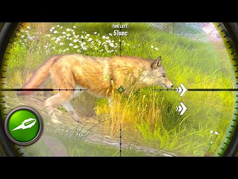 Hunting Clash: Sniper Shooting Gameplay (Android, iOS)