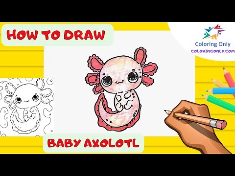 How to Draw Baby Axolotl