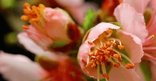 Wishing You Peace, Health, and Hope in 2026 As we welcome a new year, we send warm wishes to every family in our community. May 2026 bring healing, growth, and moments of joy. 💫 Thank you for allowing us to serve you with compassion and care. We look forward to continuing to support you in every season of life. #NewYears2026 #Gratitude #LowellCommunity #MorseBaylissFuneralHome | Morse-Bayliss Funeral Home