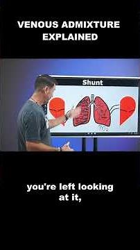 Respiratory Coach - Venous Admixture Explained
