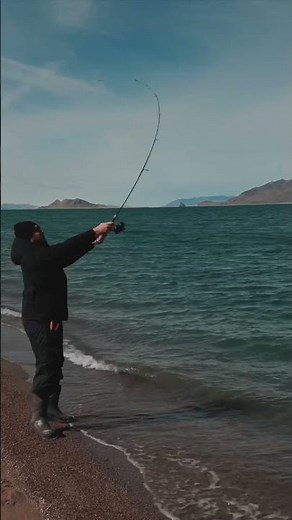 Pyramid lake Nevada #fishing #lake #camping