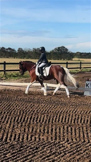 Gambler og Christelle ♥️#dressur #gamblerogchristelle #pony #ridning #stævne