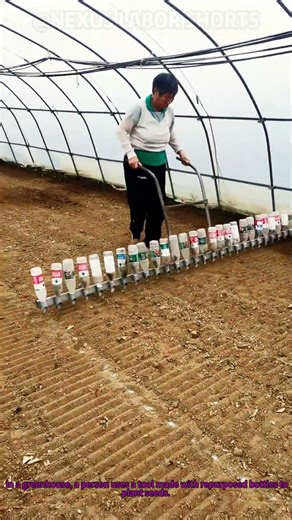 Homemade Seeder with Bottles Greenhouse Planting