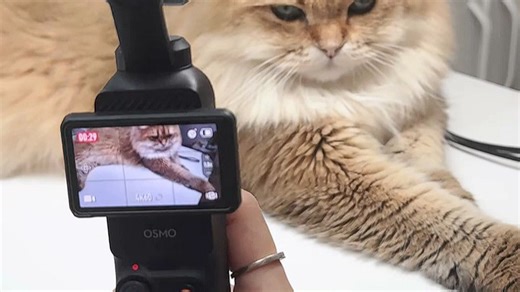 Pocket3使用教程来啦，实用功能强大，轻松解决拍摄痛点！磁吸稳拍、4K高清画质、智能防抖，vlog拍摄超省心，生活记录更自在。