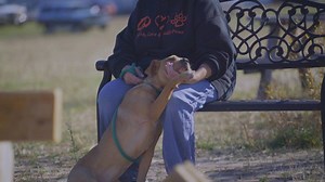 This giving season, adopt, donate, or volunteer to help us give more than 3,000 animals each year all of our love until they get all of yours. #AdoptedIsOurFavoriteBreed | Spokane Humane Society