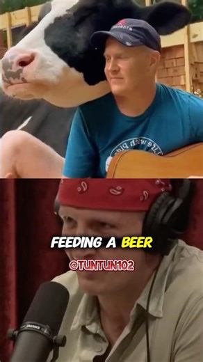 American VS Japanese Wagyu Exposed - Joe Rogan