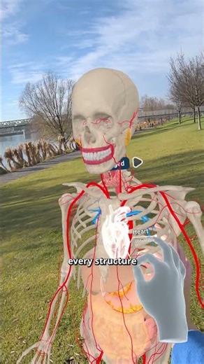 Anatomy Doesn't Belong in a Classroom Anymore. Human Anatomy VR changed the game.