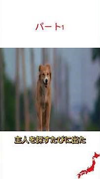 🎬涙が止まらない感動映画特集｜心に響く名作レビュー＆おすすめ作品まとめ#感動映画 #映画レビュー #泣ける映画 #おすすめ映画 #名作映画 #映画好きと繋がりたい #心に残る映画 #映画紹介