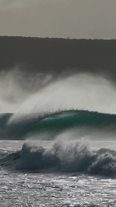 Don’t mind us as we bunker down in Bunker Bay 💁🏼‍♀️ You’ll find this stunning bay to the east of Cape Naturaliste - the northern part of the region near Dunsborough. Complete with crystal clear water, soft white sand and the occasional dolphin pod, it offers: 🏖️ a generous 2.3km stretch to pop the beach umbrella 🏄 several surf breaks packing both left and right-handers when conditions allow ☕️ a beachfront café and restaurant - Bunkers Beach House 🍽️ a beachfront resort, bar and restaurant 