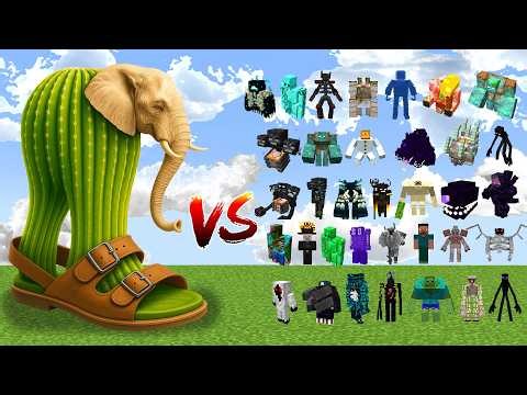Lirili Larila vs All Minecraft Bosses - Minecraft Mob Battle
