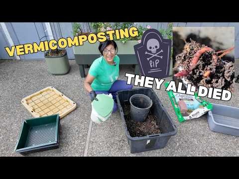 9 Worm Composting BEGINNER MISTAKES, I Wish I Knew Earlier!