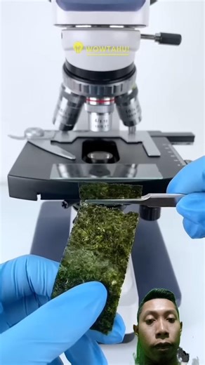 J4ng4n s4mp4i s4l4h m4k4n rumput😱⁉️ #shorts #reels #rumputlaut #youtubeshorts #video #viral #fyp