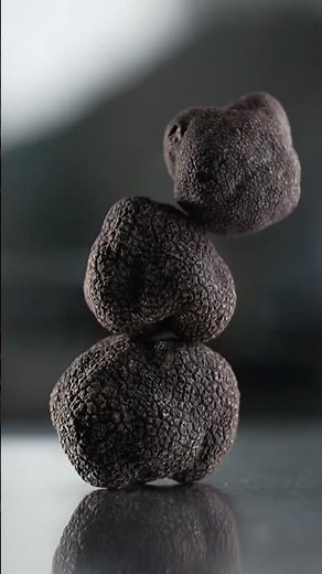 Truffle Macaron: An Unexpected Dessert | Urbani Truffles US