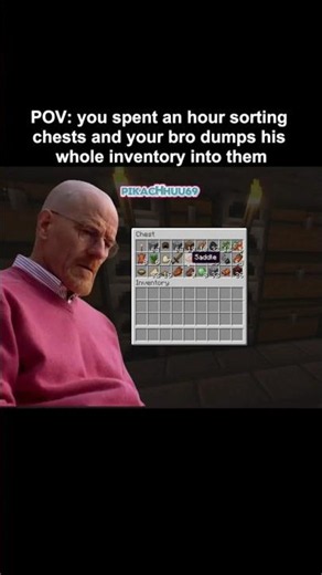 POV: You spent 1 hour organizing your Minecraft chests 💀 #minecraft
