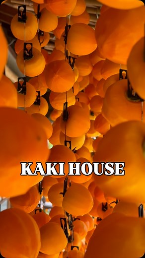 Guest House au Japon ! — La campagne au Japon, c’est un gros plus pour vos voyages ! Aujourd’hui, je vous emmène dans le sud de la préfecture de Nagano, dans une guest house qui a ouvert il y a peu ! — 📍Kaki House @_kaki_house À Takamori, proche de la ville de Iida — La propriétaire, Rie-san, peut venir vous chercher et vous raccompagner à la gare 👌 —— #japan #japon #agoradventure #cuisiniervoyageur #japanesefood #beautifuljapan #japantrip #campagnejaponaise #ichidagaki | Agoradventure - Voyag