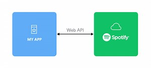 Spotify Developer Missing App
